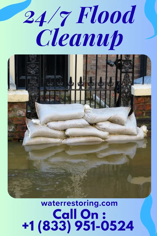 24/7 Flood Cleanup in North Crows Nest, IN