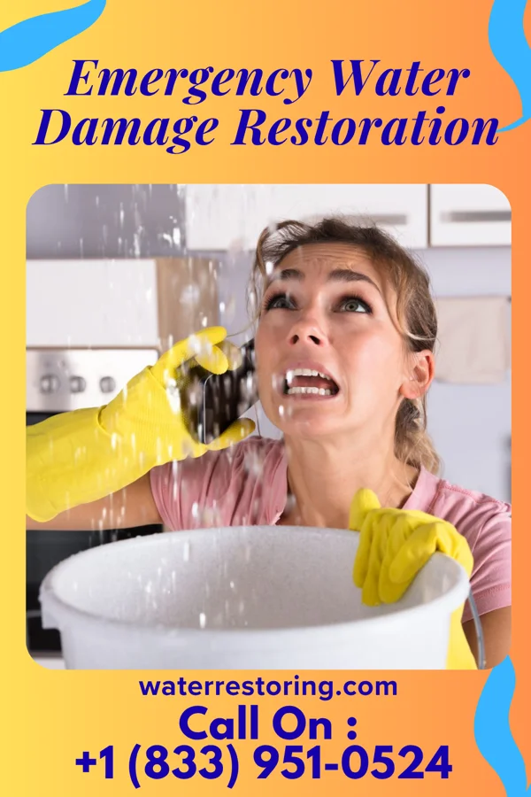 Emergency Water Damage Restoration in North Crows Nest, IN